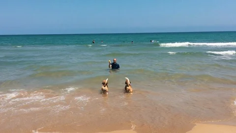 Young man playing with two dogs on the shore of the beach Stock Footage 129052368