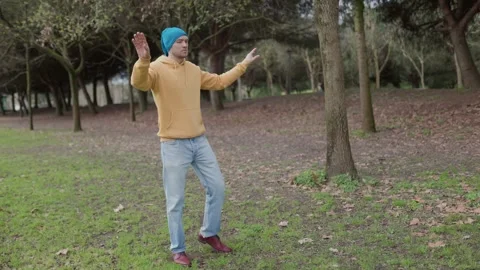 Young man practicing tai chi in a park Stock Footage 316834807