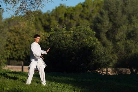 Young man practicing Tai-Chi in the park Stock Photos