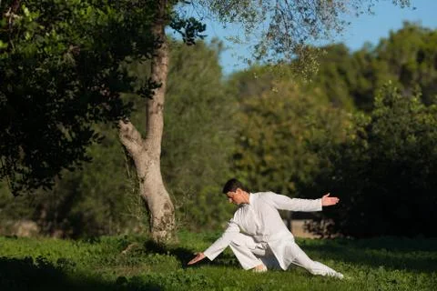 Young man practicing Tai-Chi outdoors in the park Stock Photos