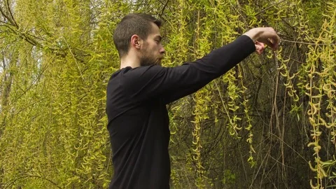 Young man practicing wing chun in the forest Stock Footage 80656288