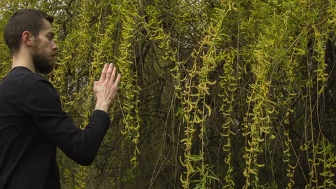Young man practicing wing chun in the forest Stock-Footage 80656939