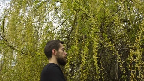 Young man practicing wing chun in the forest Video stock 80685407