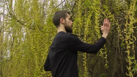 Young man practicing wing chun in the forest 動画素材 80685432