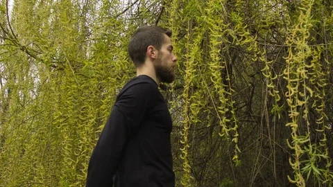Young man practicing wing chun in the forest Video stock 80689943