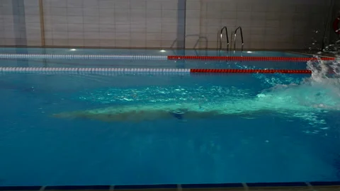 Young man professional swimmer practicing freestyle stroke in swimming pool Stock Footage 108505465