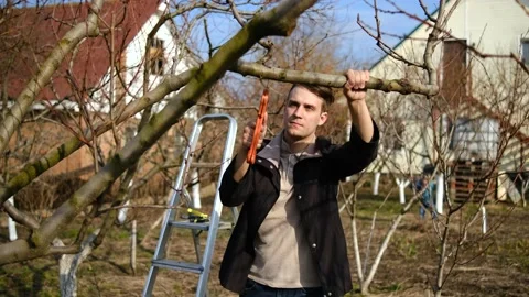 A young man is pruning trees in the garden near the house on a spring day. Stock Footage 152042339