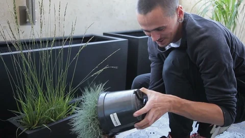 Young man pulls plants from pots and puts them in box in greenhouse. Stock Footage 88522505