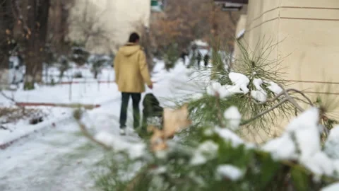 A young man pulls a sled through the snow with his young son. There are trees Stock Footage 262411897