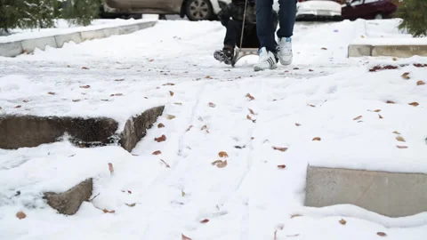 A young man pulls a sled through the snow with his young son. There are trees Stock Footage 311500324