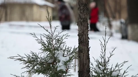 A young man pulls a sled through the snow with his young son. There are trees Stock Footage 325648262