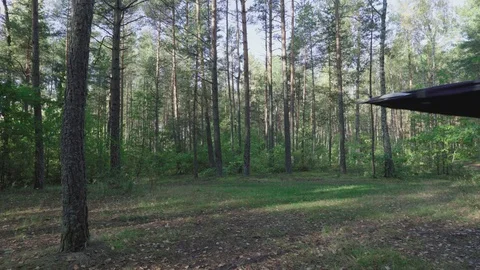 Young man puts the camouflage tent at dawn in the forest at morning. Tourist Stock-Footage 80523853