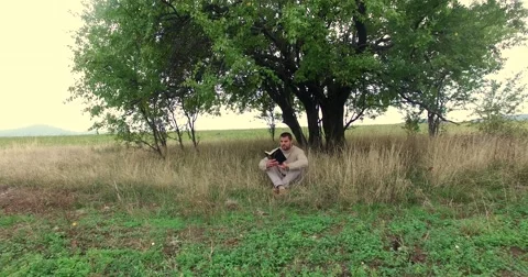 Young Man Reading the Bible Under a Lonely Three Aerial Video stock 56116412