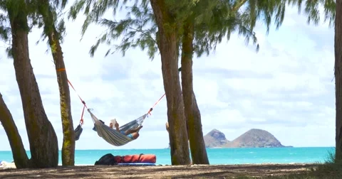 Young man reading a book on hammock exotic beach Stock Footage 66559843