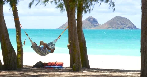 Young man reading a book on hammock exotic beach Stock Footage 66563808