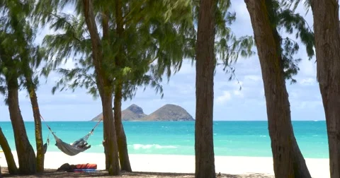 Young man reading a book on hammock exotic beach Stock Footage 66563898