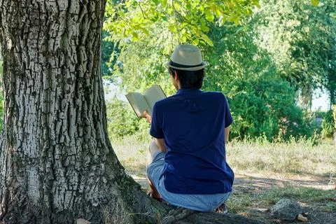 Young man reading under a tree in summer. Stock Photos