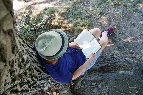 Young man reading under a tree in summer. Stock Photos