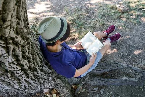 Young man reading under a tree in summer. Stock Photos