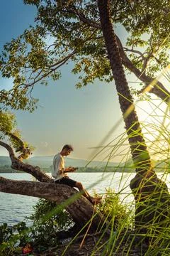 A young man reads a book while sitting on a large tree branch overlooking a c Stock Photos