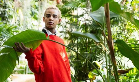 Young Man in Red Exploring Tropical Botanical Garden Foto stock
