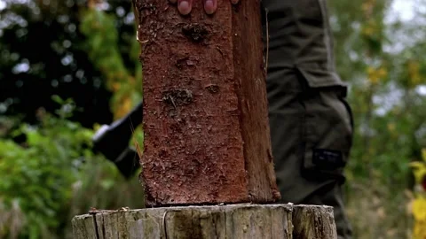 Young man removing axe from chopping block and placing wood Stock Footage 220083947