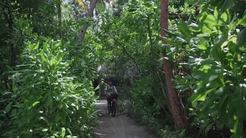 A young man rides a bicycle through the tropical thickets. Stock Footage 146752044
