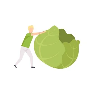 Young man rolling huge cabbage, healthy eating, diet, organic vegan food vector Illustrazione stock
