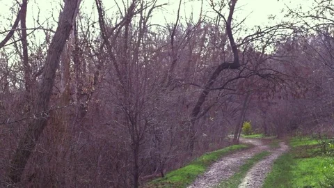 Young man runner training Stockbeeldmateriaal 84992700