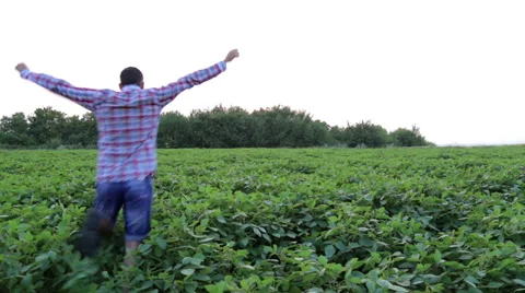 Young man running on the field Stock Footage 67527399
