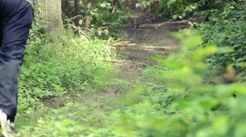 Young man running on forest path Stock Footage 41093170