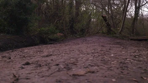 Young Man Running In Forrest Exercising Outdoors Steady Cam Shot Stock Footage 89693803