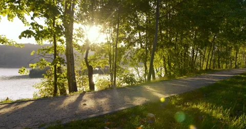 Young man running in park  during sun rise – slow motion Stock Footage 55327788