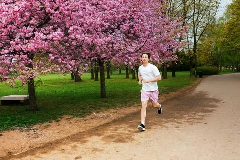 A young man running on a park path lined with blooming pink cherry blossom .. Stock Photos