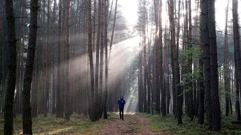 Young man running at sunrise at foggy forest Stock Footage