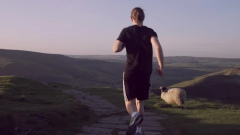 Young man running a wild trail through sheep on British ridge at sunset  Stock Footage 85656318