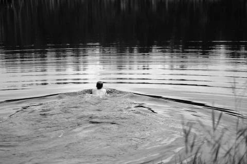 A young man sails on the surface of a forest lake in the early morning Stock Photos