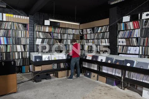 A young man searching through records, rear view Stock Photos