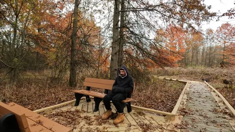 Young man seated on a bench on the boardwalk trail in the swamp in the fall Stock Footage 282832983