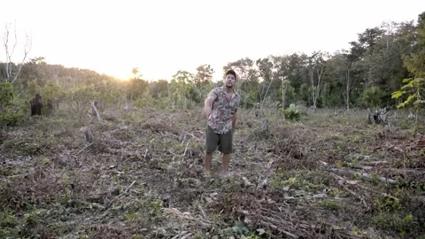 A young man is singing a rap song in a deforested jungle area Stock Footage 221786031