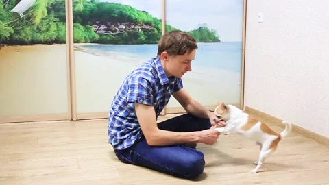 A young man sits and plays with a dog. Stock Footage 169651902