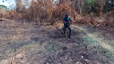 Young man sitting on a burnt land Stock Footage 80592149