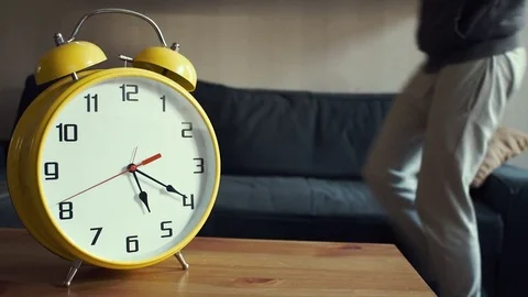 Young man sitting on couch with pot plant on his knees in at home Stock Footage 80814213