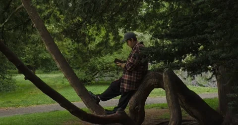 Young man sitting on a curved tree trunk in a park... Stock Footage 313950803