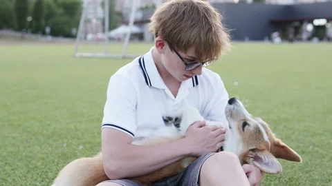 Young man sitting on green grass holding his corgi dog. Stock Footage 344744870