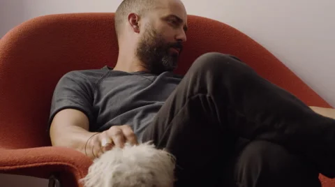 Young man sitting on sofa and petting a puppy at home Stock Footage 63861217