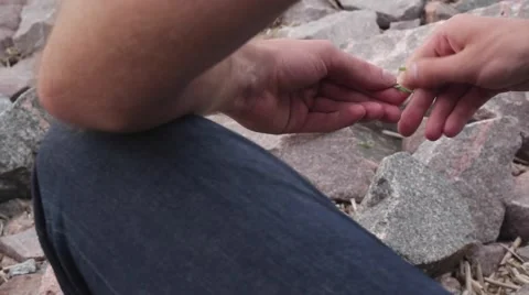 A young man sitting on the stone beach holding a plant Stock Footage 66476033