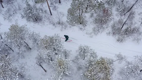 A young man is skiing in the winter forest. Aerial view. Video stock 123453321