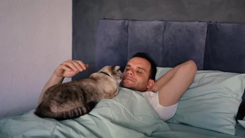 A young man sleeping with a cat on his chest, morning routine Stock Footage 276379265