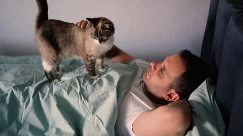 Young man sleeping with a cat on his chest, morning routine Stock-Footage 276379410